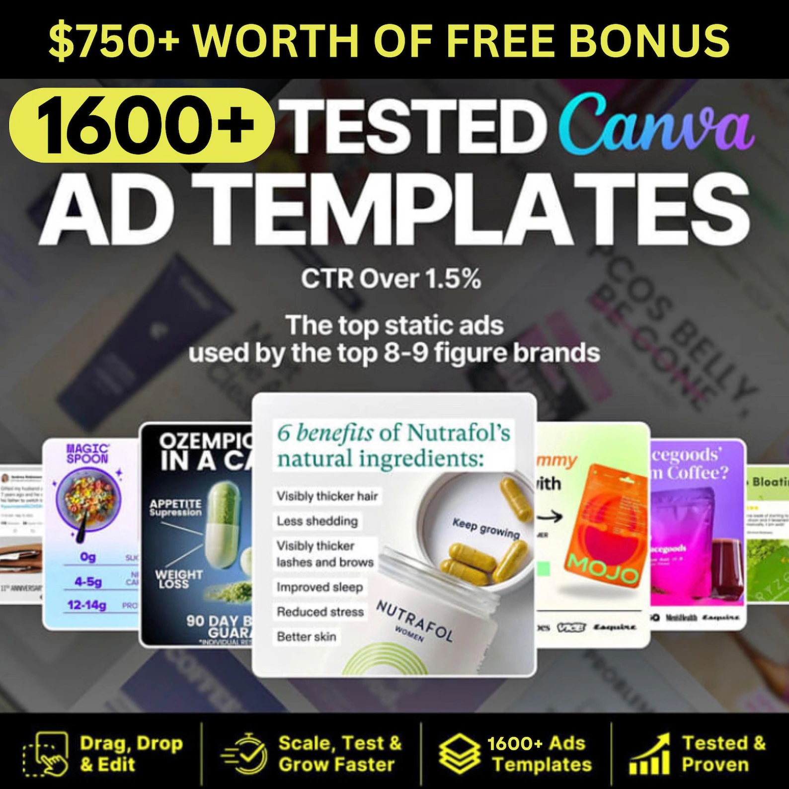 1,600+ Winning Static Ads Canva Templates for High-Converting ADS